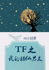 TF之我的猫仙男友"